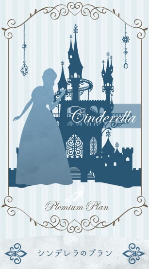 シンデレラのプラン