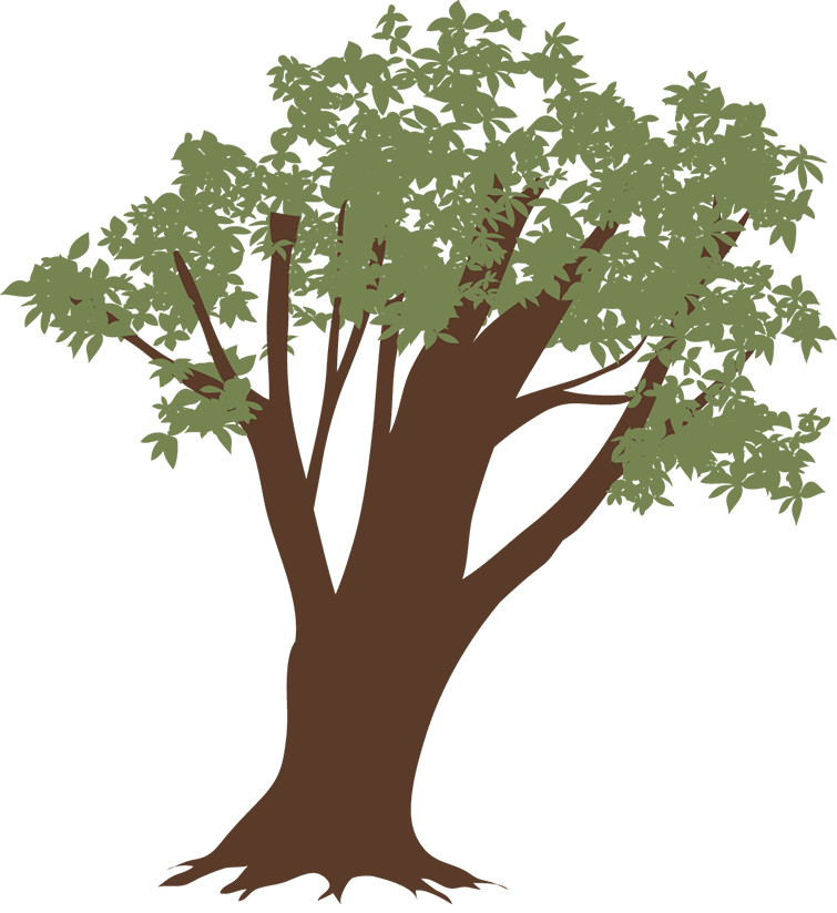 木のイラスト