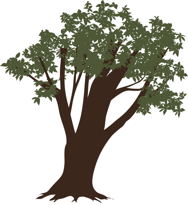 木のイラスト